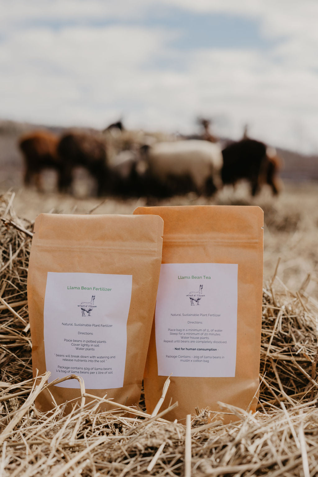 Broken Down Llama Manure Fertilizer