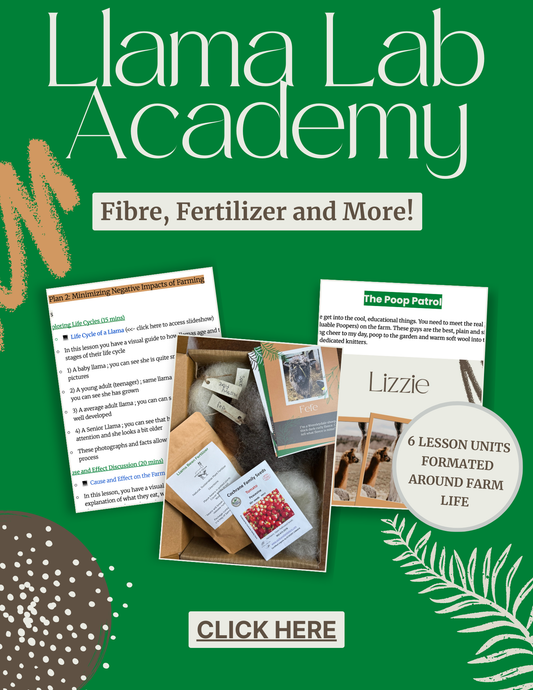 Llama Lab Academy: Hands On Learning!