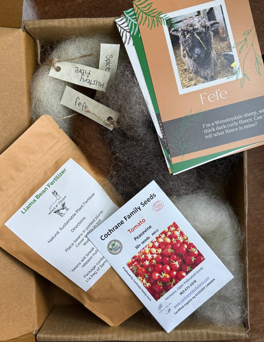 The Academy Box