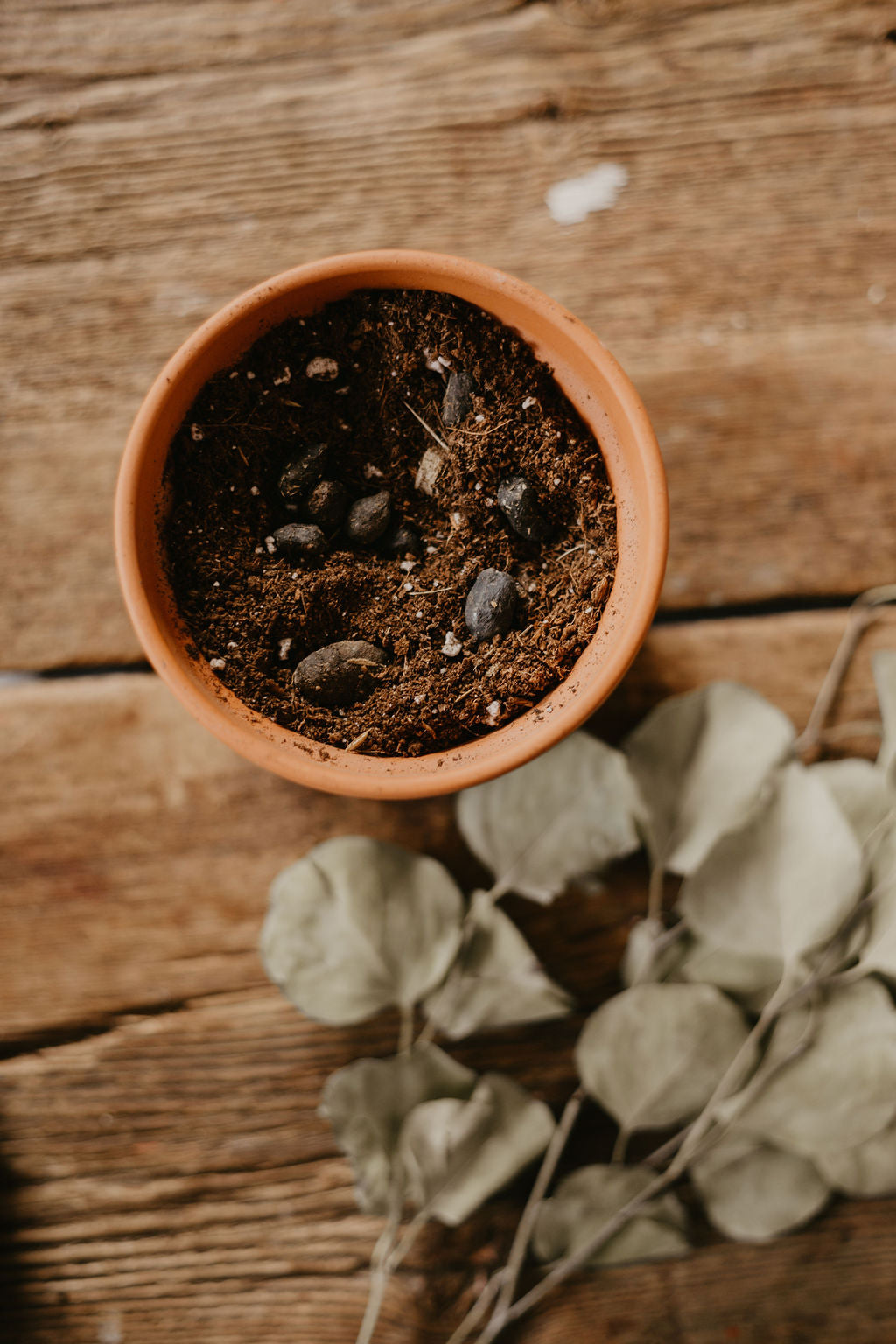 A natural and sustainable llama manure product. It is easy to use and odor less! 